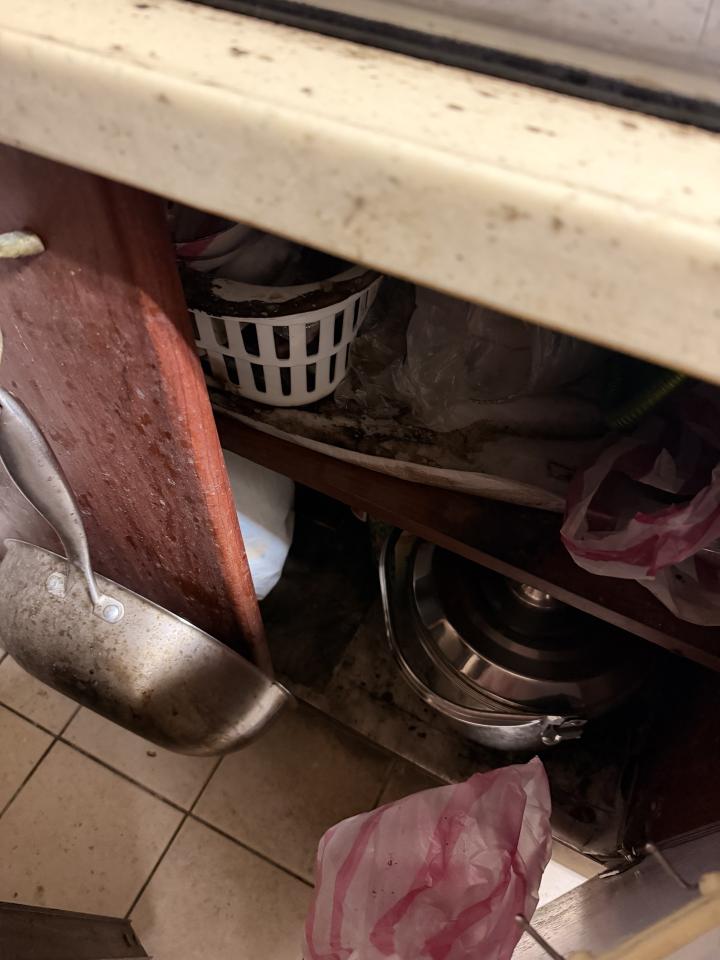 廚房清潔案件圖片