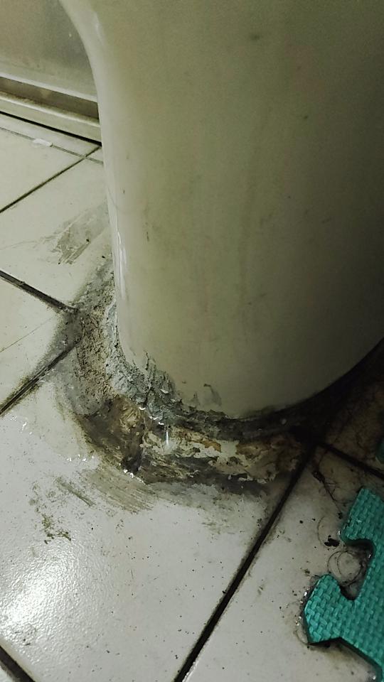 馬桶裝修案件圖片