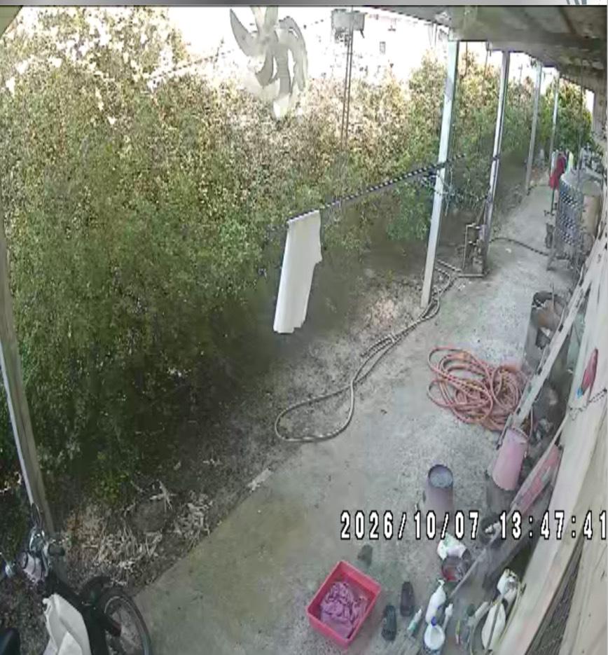 園藝維護案件圖片
