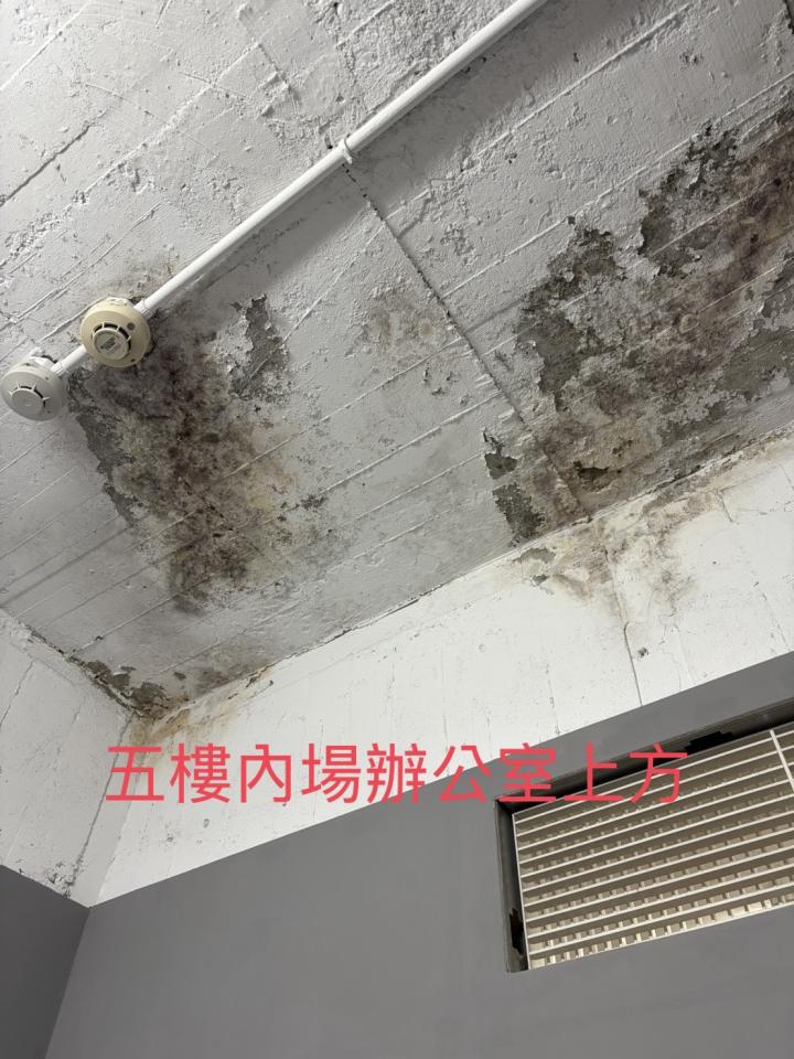 抓漏案件圖片