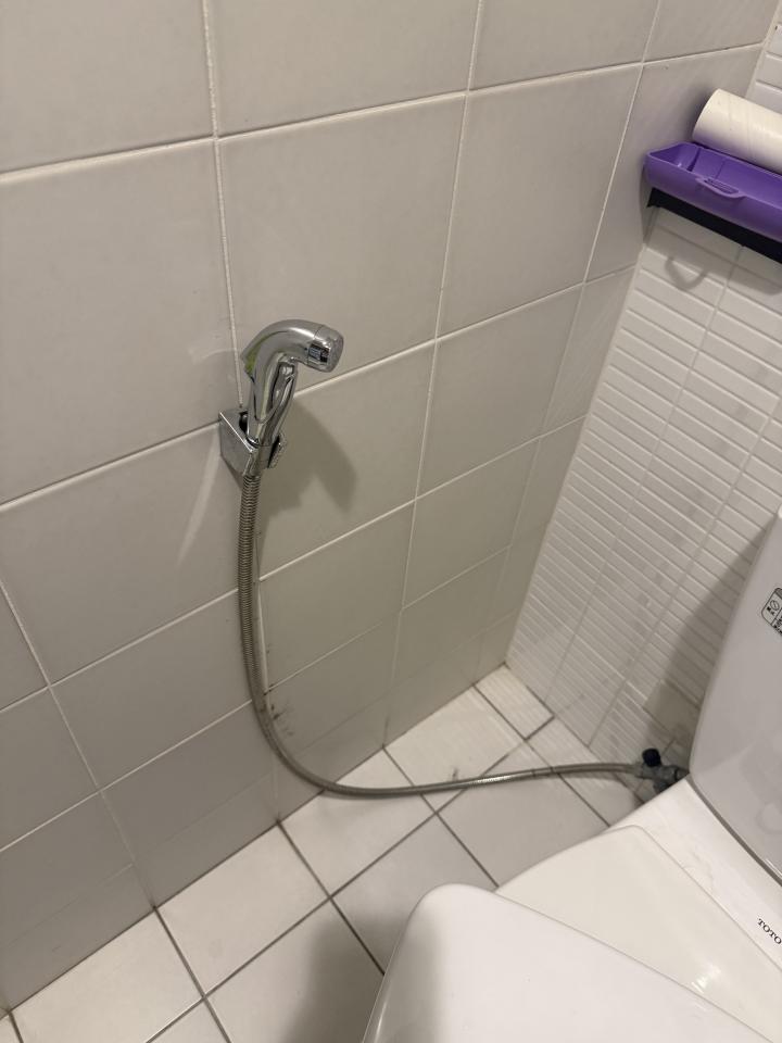 馬桶裝修案件圖片