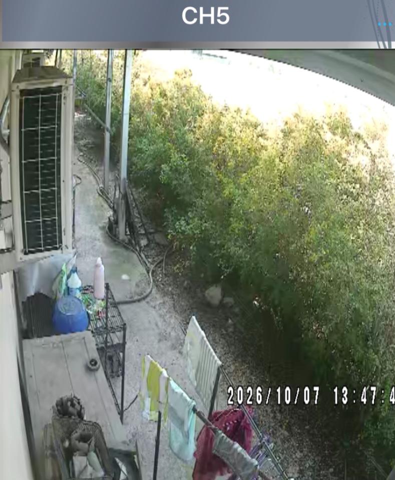 園藝維護案件圖片