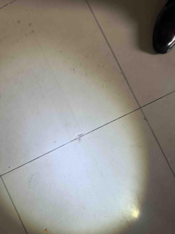 地板維修案件圖片