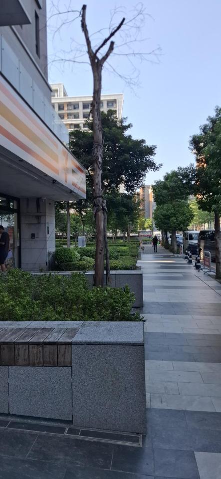 園藝維護案件圖片