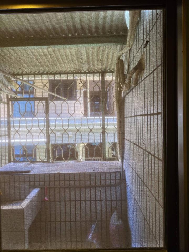 拆除工程案件圖片