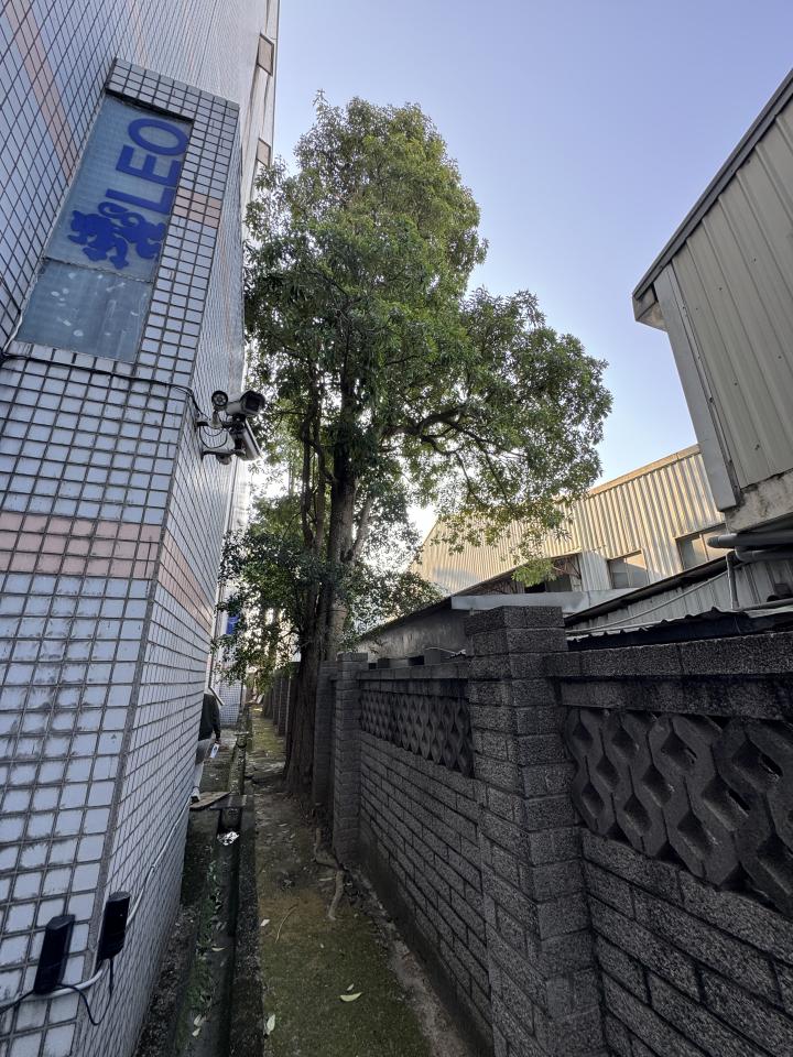 園藝維護案件圖片