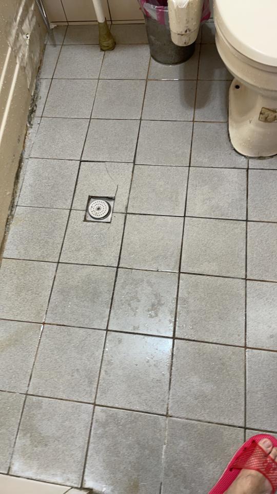 磁磚修補案件圖片