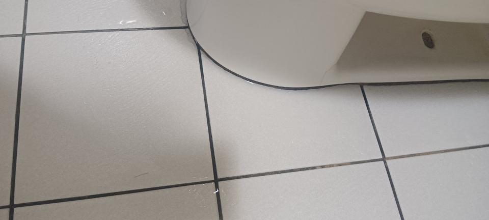 馬桶裝修案件圖片