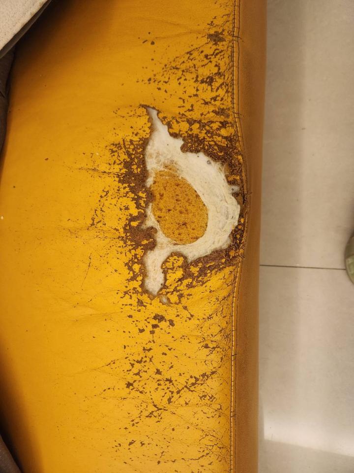 沙發修理案件圖片