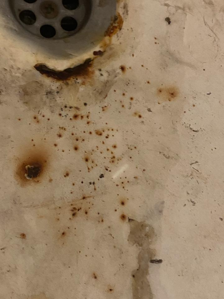 浴缸與淋浴裝修案件圖片