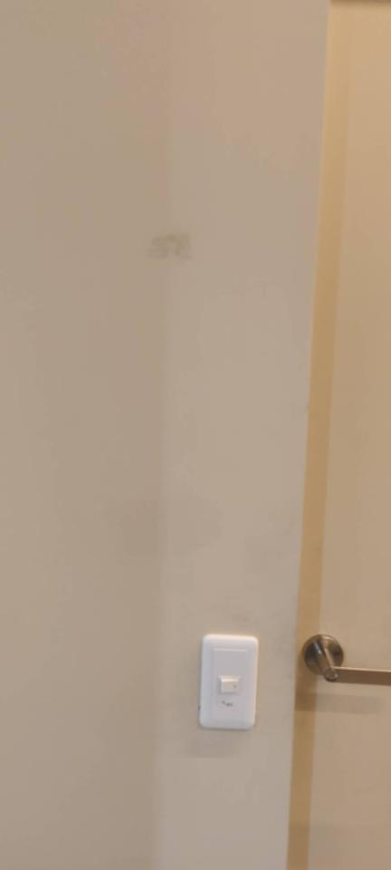 油漆工程案件圖片
