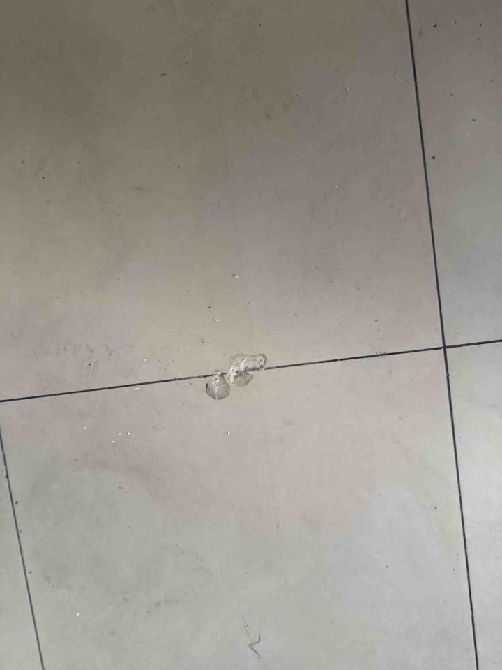 地板維修案件圖片
