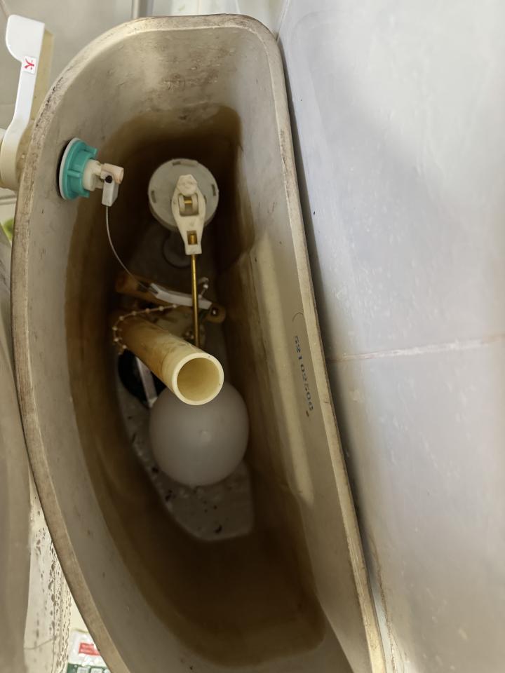 馬桶裝修案件圖片
