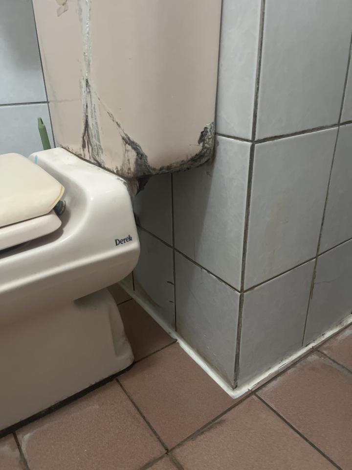 馬桶裝修案件圖片
