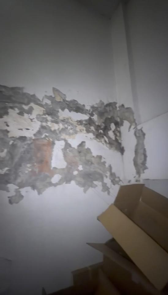 油漆工程案件圖片