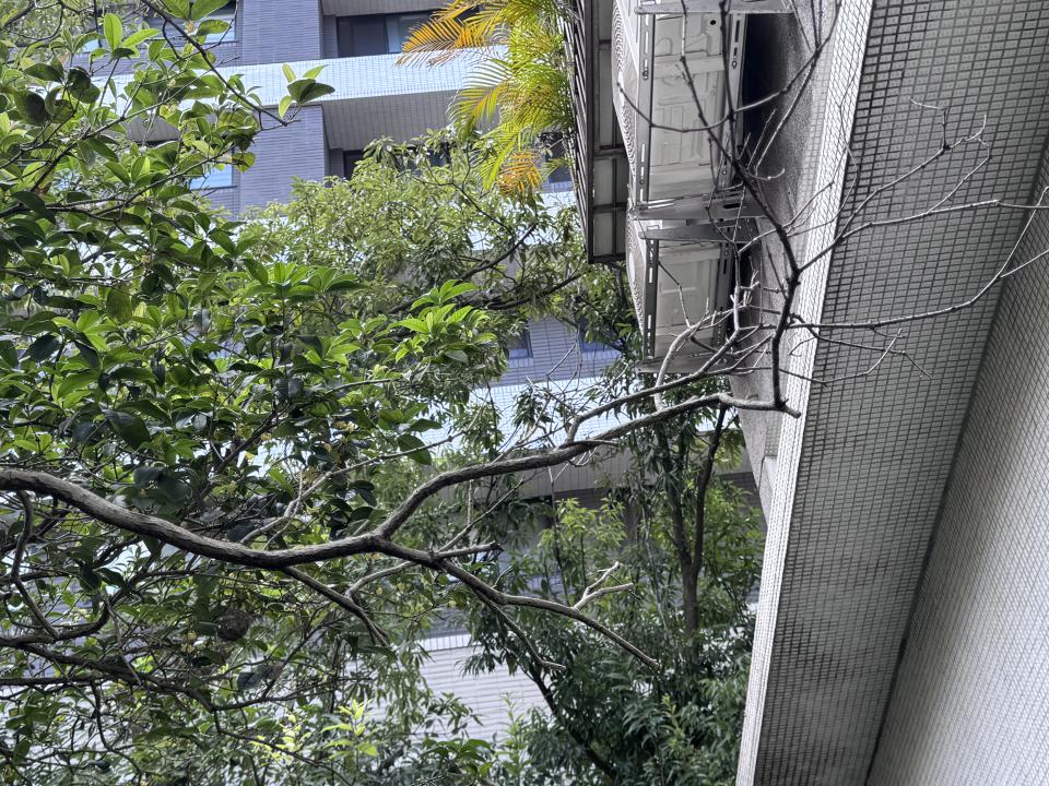 植物診療師案件圖片