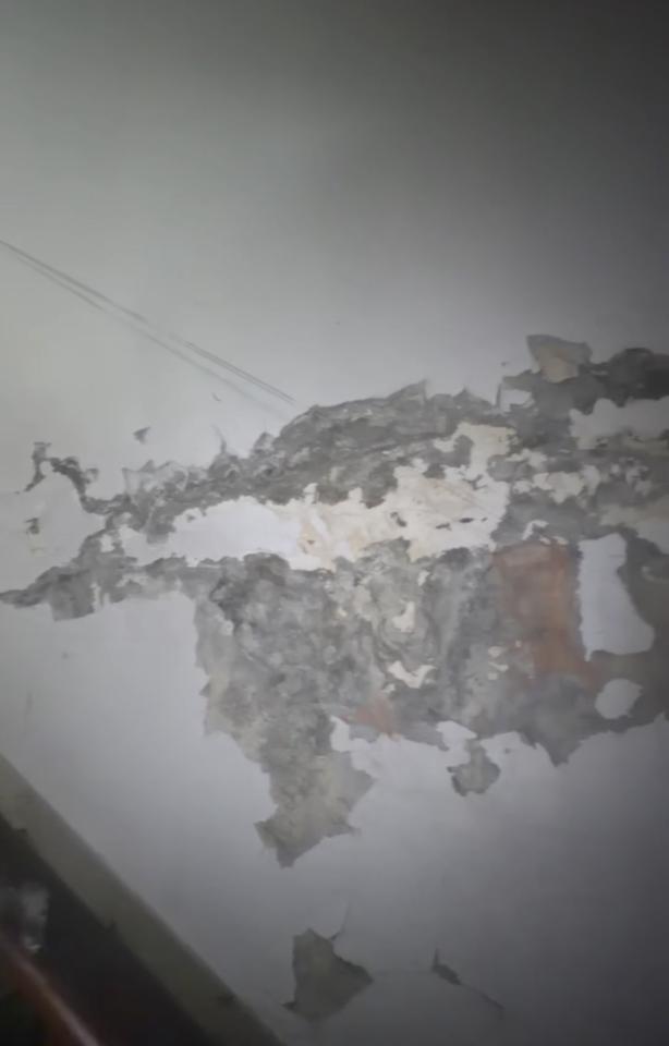 油漆工程案件圖片