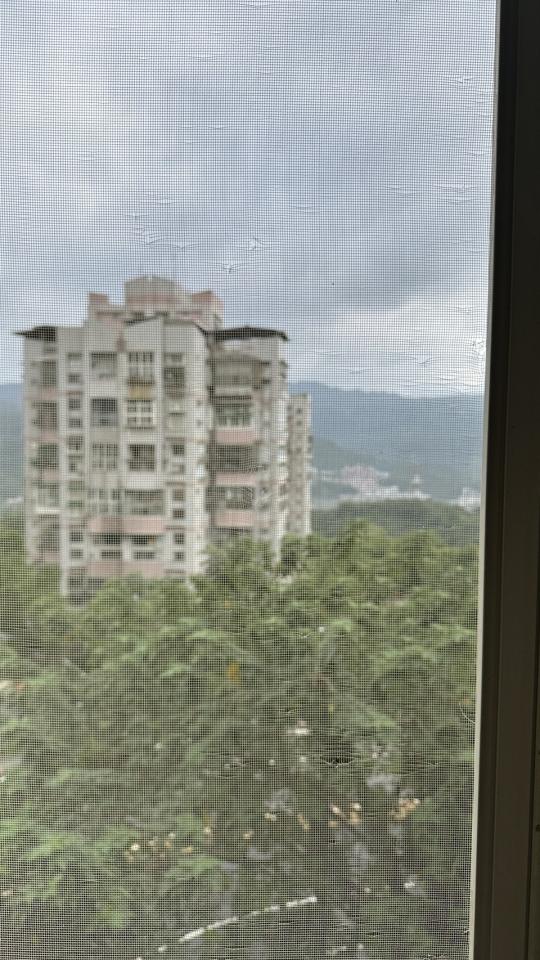 紗窗裝修案件圖片