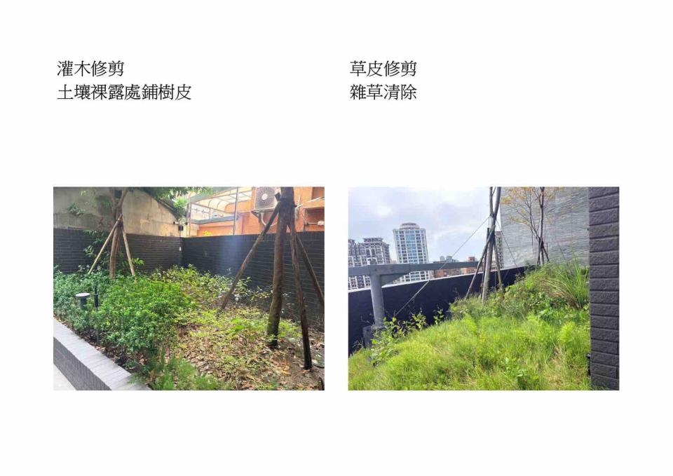 園藝維護案件圖片