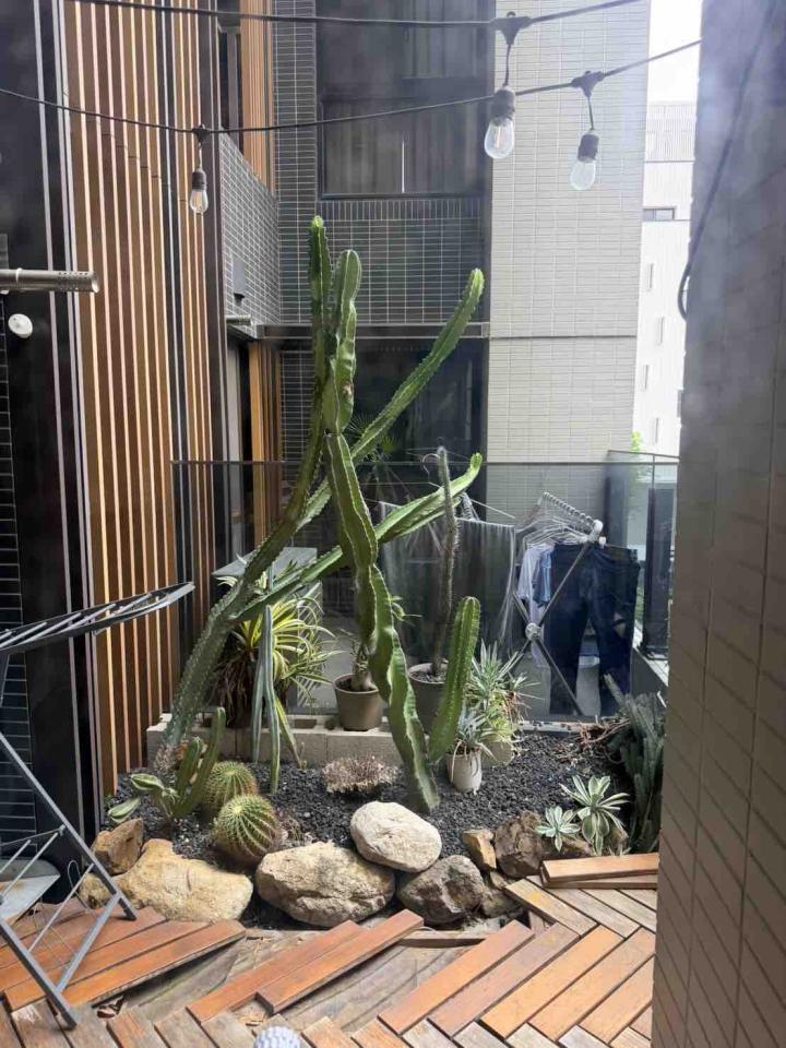 園藝維護案件圖片