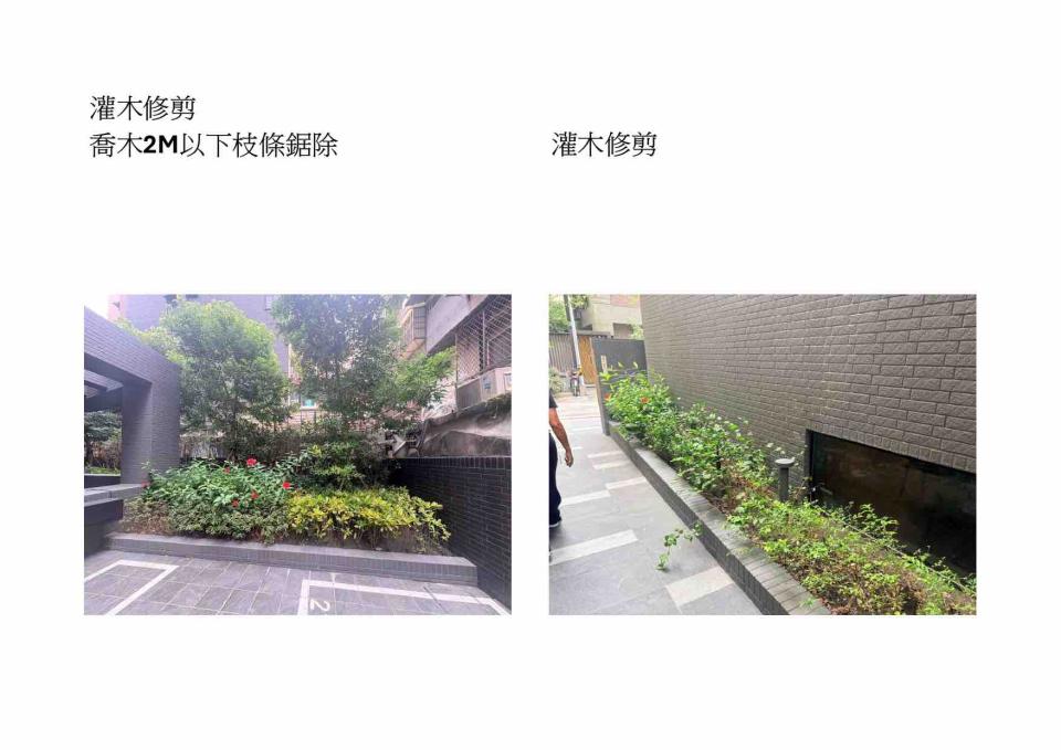 園藝維護案件圖片