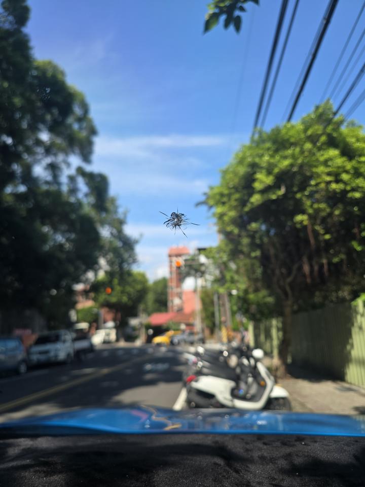 汽車玻璃修補案件圖片