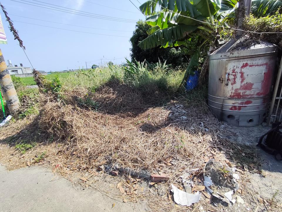 園藝維護案件圖片