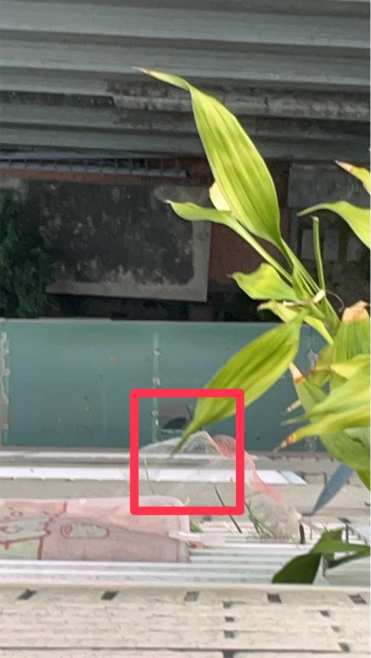 採光罩案件圖片