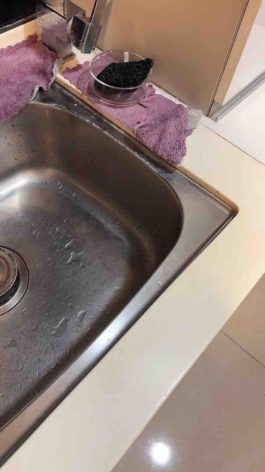 廚房水槽更換案件圖片