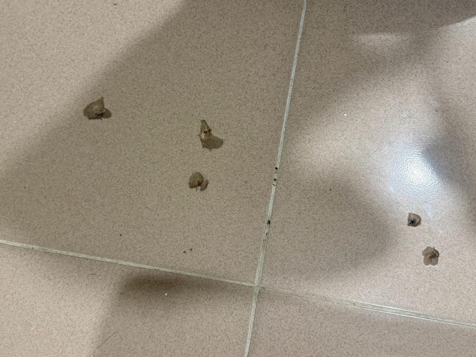 磁磚修補案件圖片