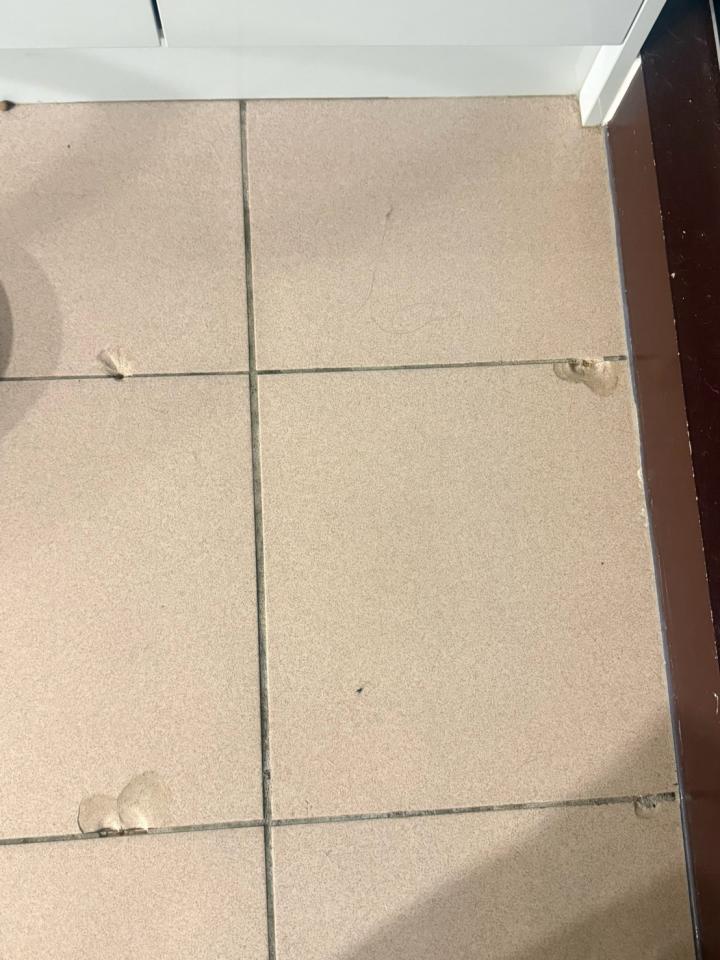 磁磚修補案件圖片