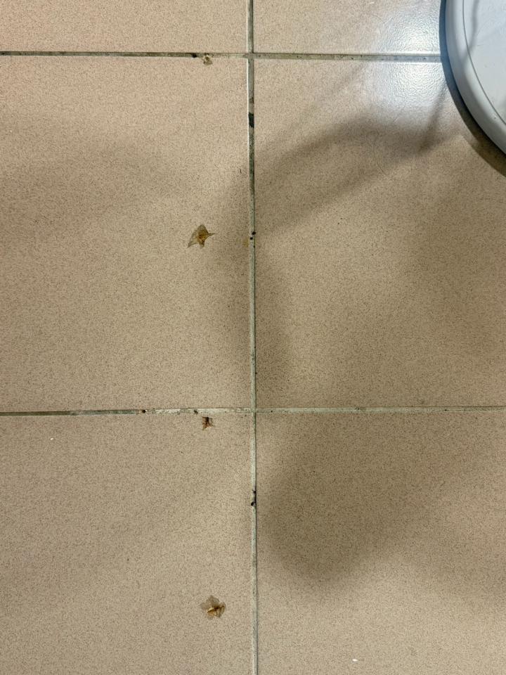 磁磚修補案件圖片