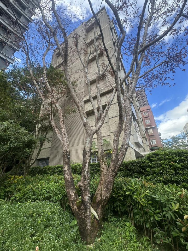 植物診療師案件圖片