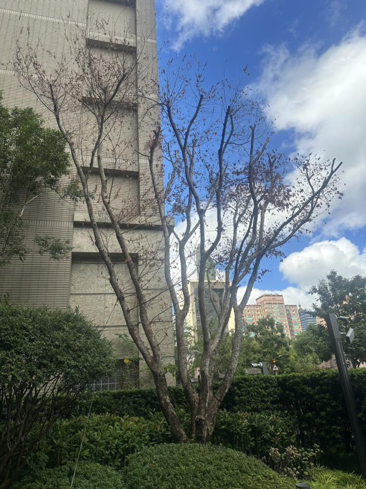植物診療師案件圖片