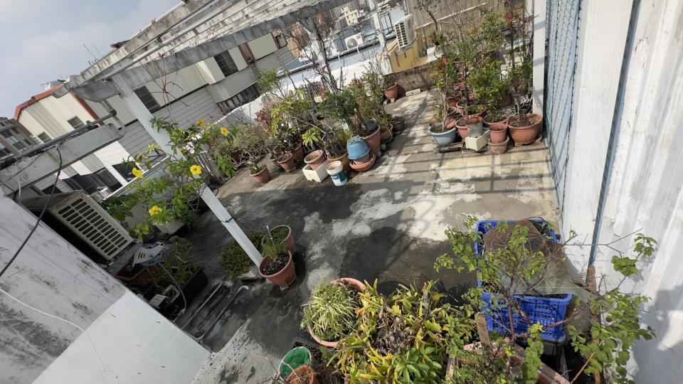 園藝維護案件圖片