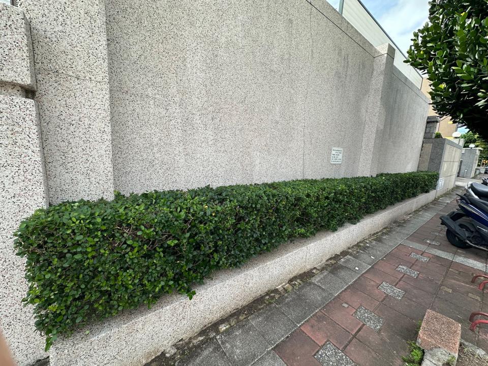 園藝維護案件圖片