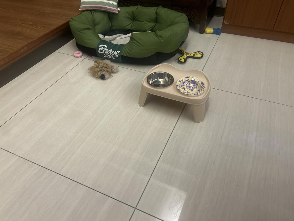 地板施工案件圖片