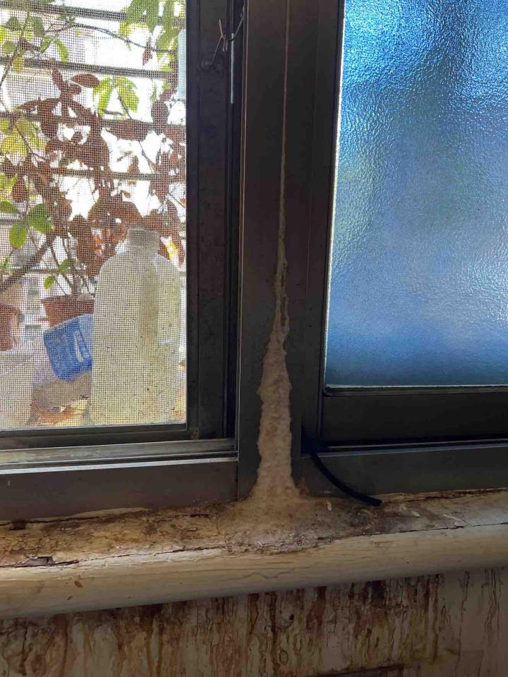 屋頂防水案件圖片