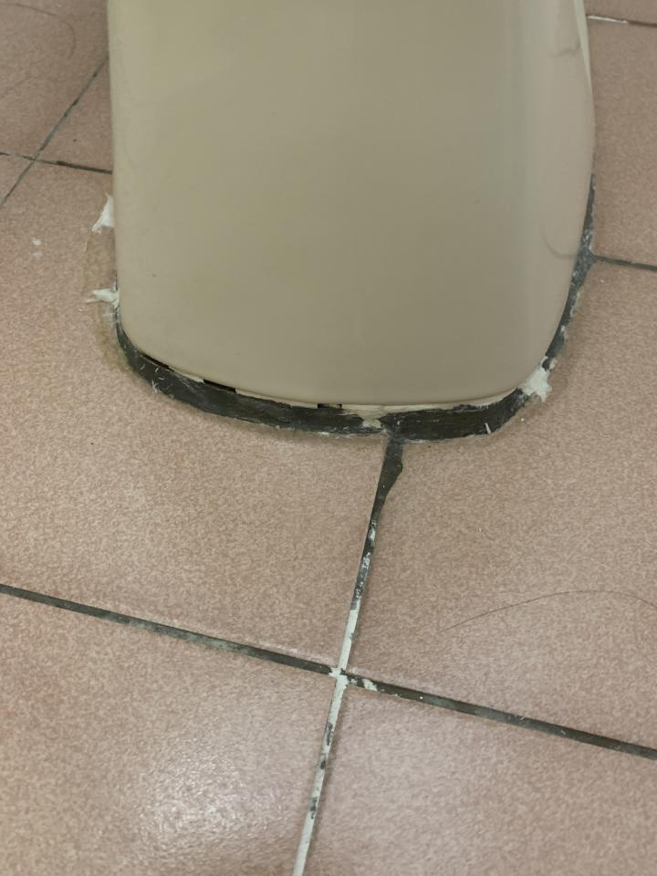 馬桶裝修案件圖片