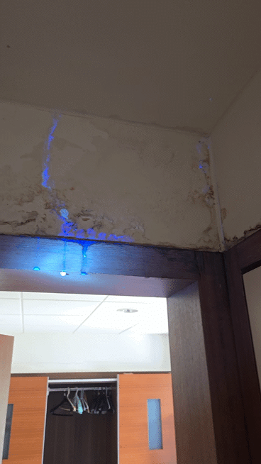漏水處理案件圖片
