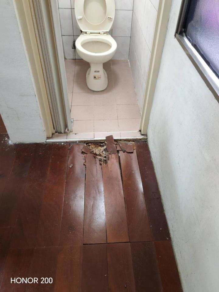 地板施工案件圖片