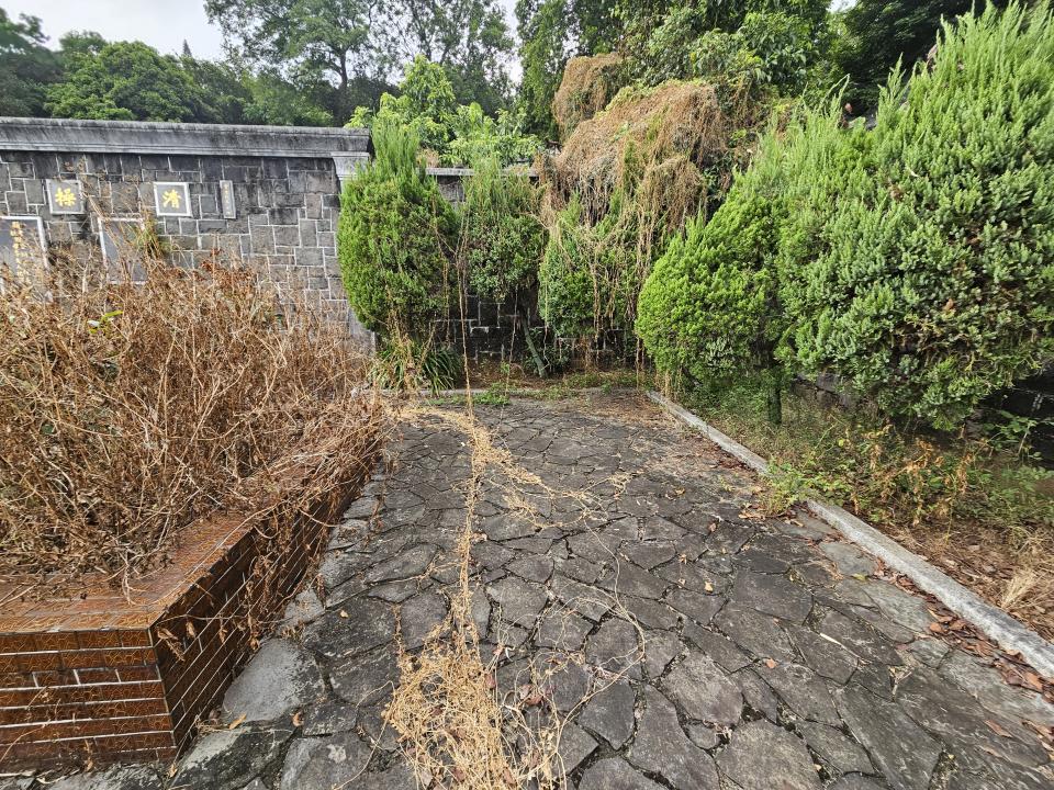 園藝維護案件圖片