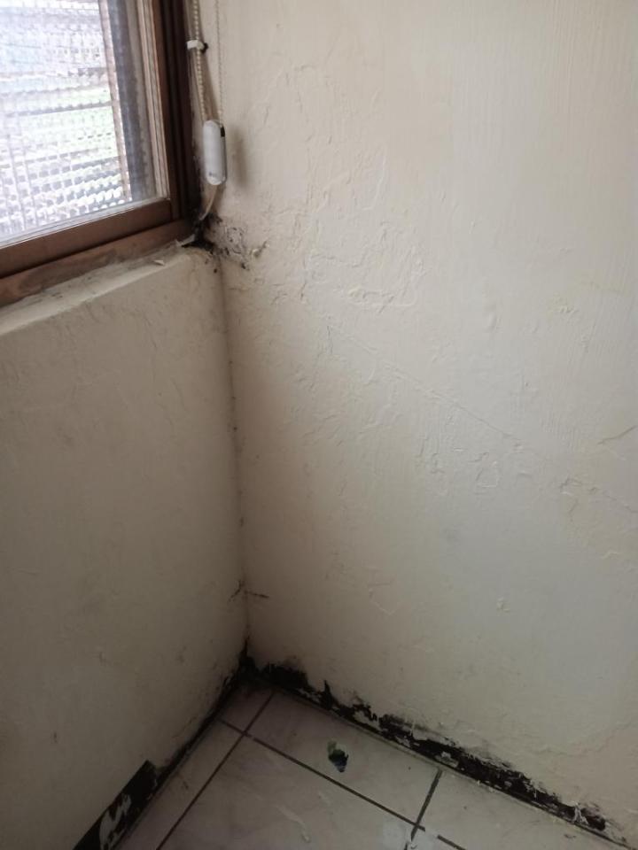 油漆工程案件圖片