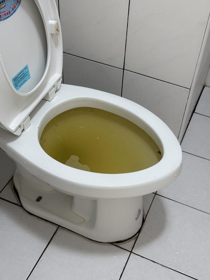 通馬桶案件圖片