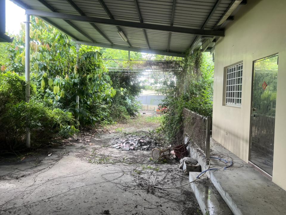園藝維護案件圖片