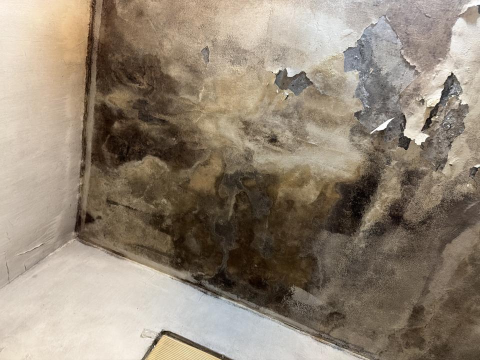 油漆工程案件圖片