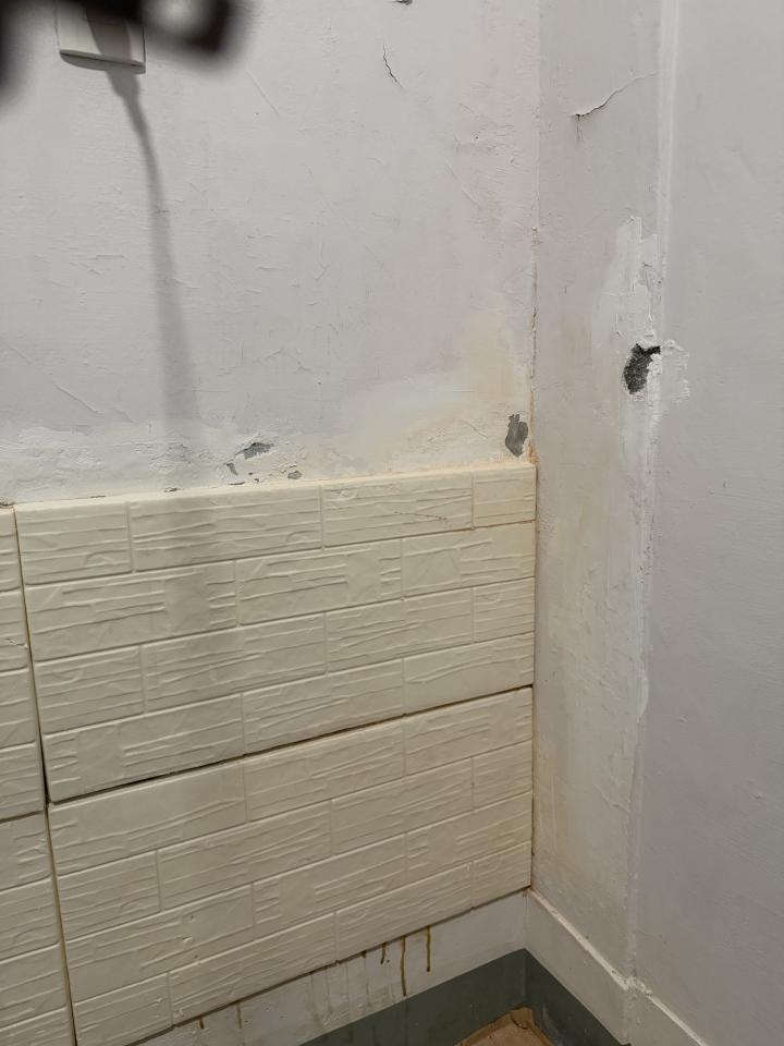 壁癌處理案件圖片