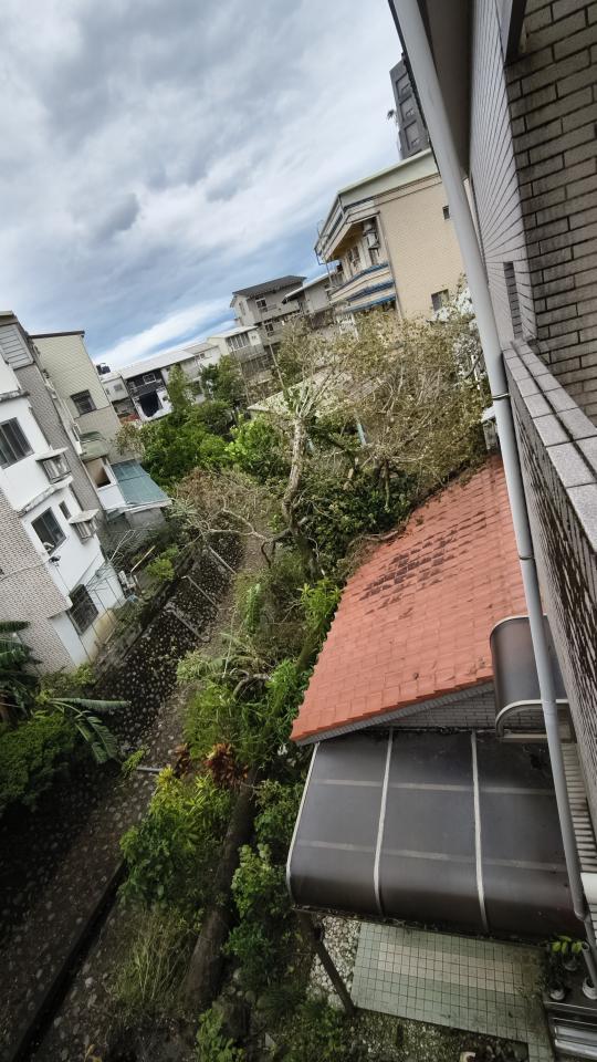 園藝維護案件圖片