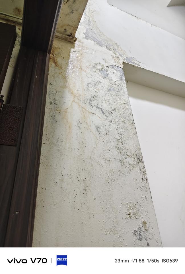 水管維修案件圖片