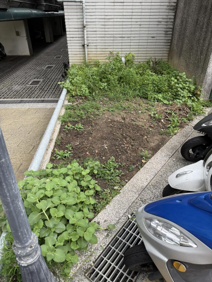 園藝設計案件圖片